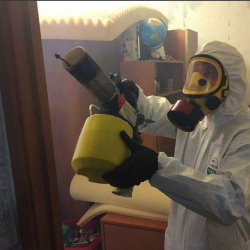 Уничтожение клопов в квартире. Технопарк